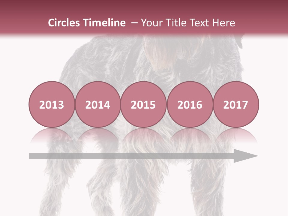 A Dog Standing In Front Of A White Background PowerPoint Template