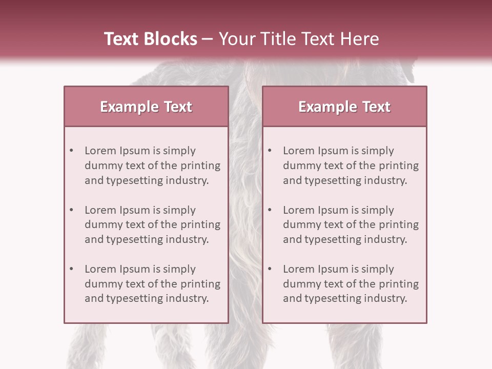 A Dog Standing In Front Of A White Background PowerPoint Template