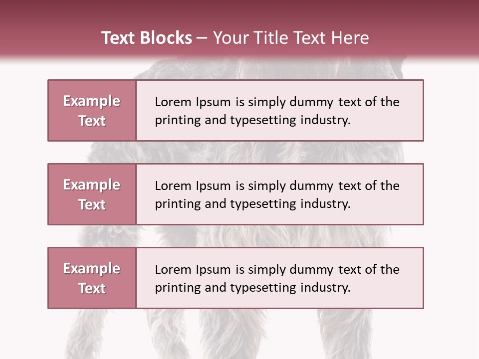 A Dog Standing In Front Of A White Background PowerPoint Template