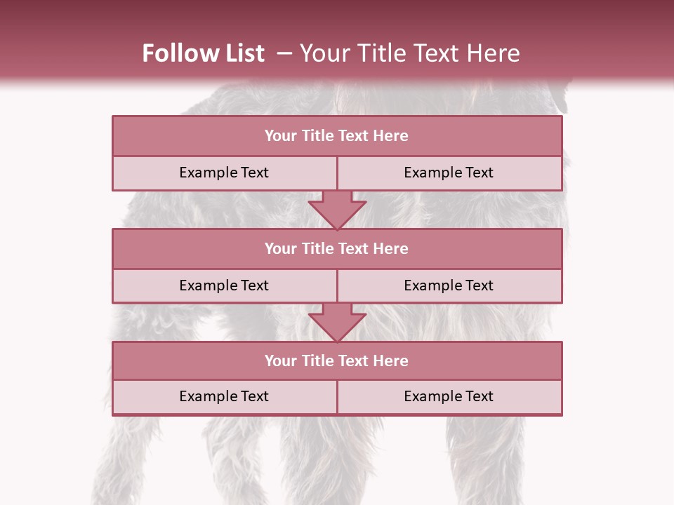 A Dog Standing In Front Of A White Background PowerPoint Template