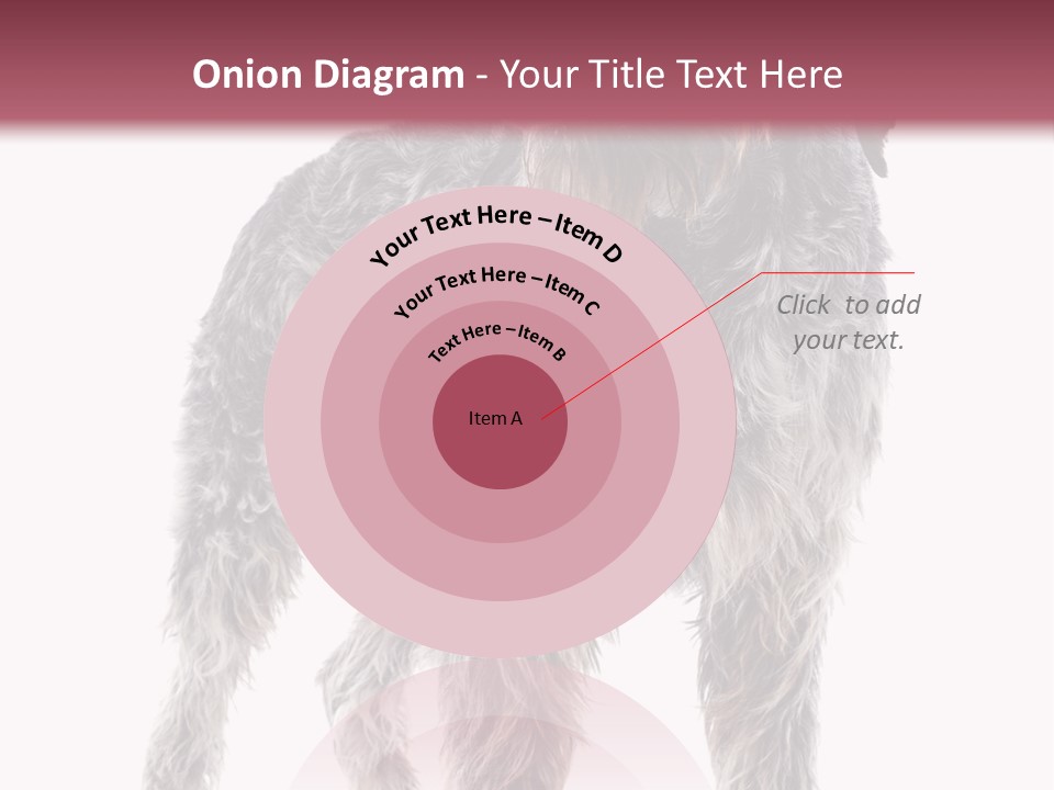 A Dog Standing In Front Of A White Background PowerPoint Template