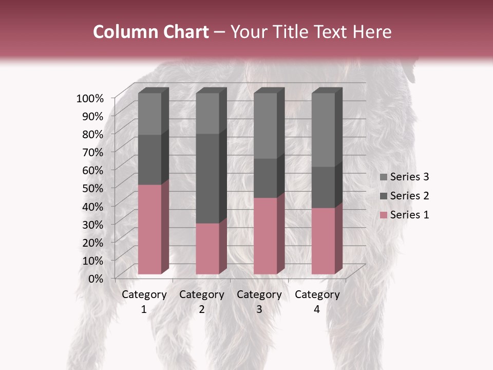 A Dog Standing In Front Of A White Background PowerPoint Template