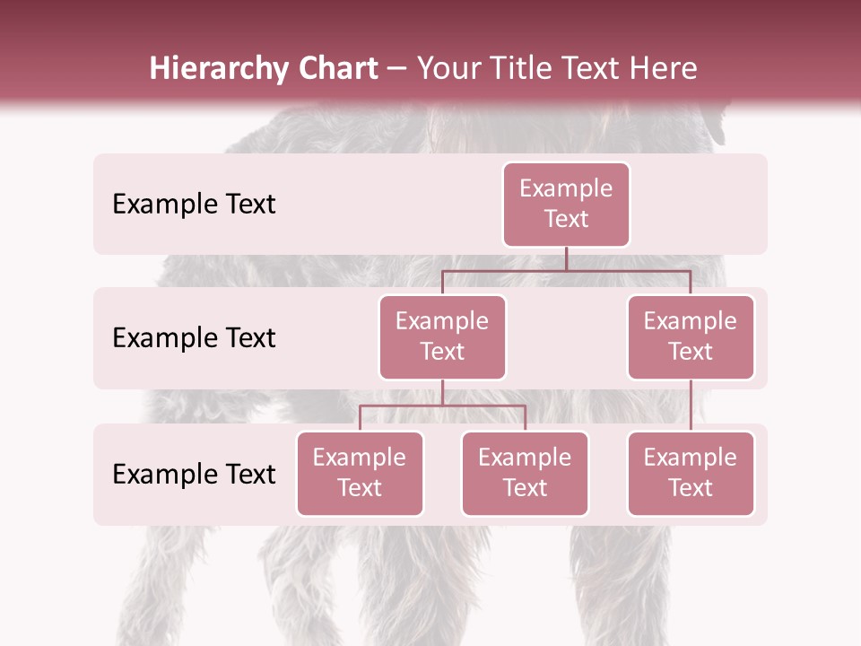 A Dog Standing In Front Of A White Background PowerPoint Template