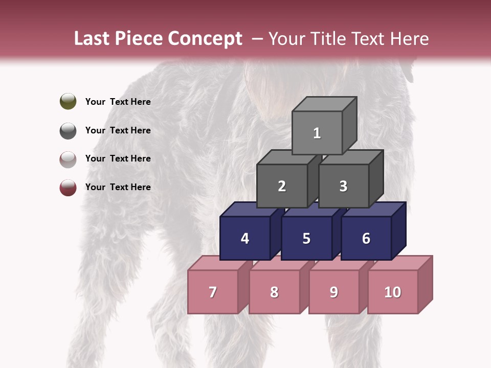 A Dog Standing In Front Of A White Background PowerPoint Template