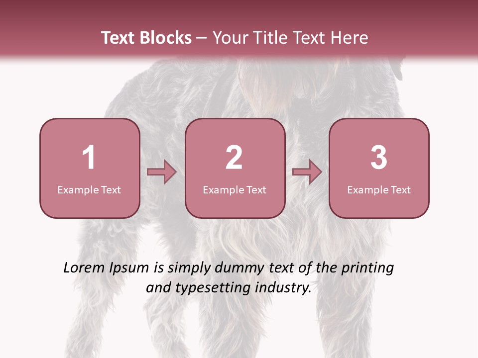 A Dog Standing In Front Of A White Background PowerPoint Template