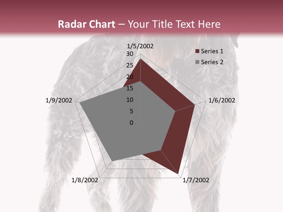 A Dog Standing In Front Of A White Background PowerPoint Template