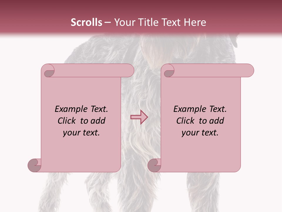 A Dog Standing In Front Of A White Background PowerPoint Template