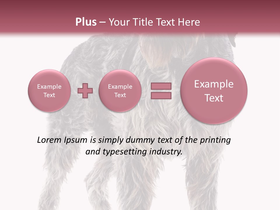 A Dog Standing In Front Of A White Background PowerPoint Template