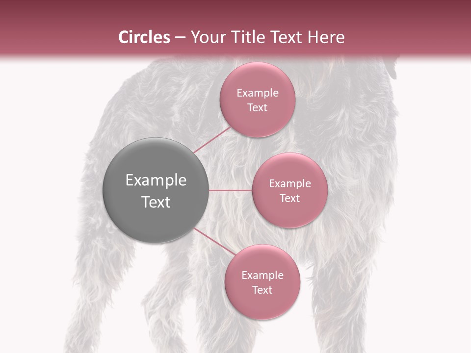 A Dog Standing In Front Of A White Background PowerPoint Template