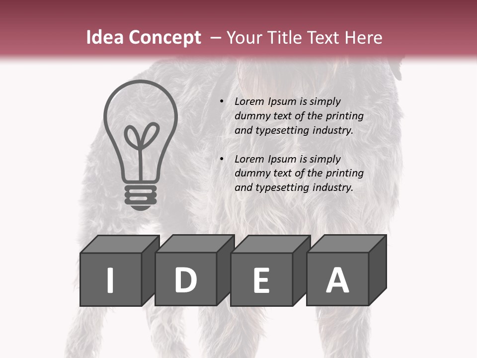 A Dog Standing In Front Of A White Background PowerPoint Template