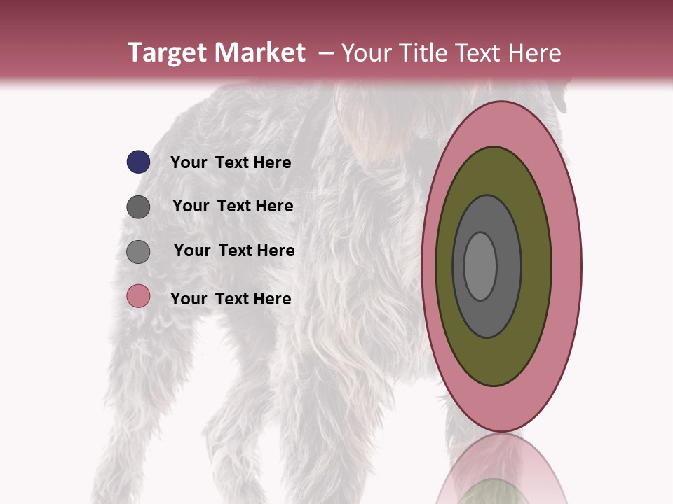 A Dog Standing In Front Of A White Background PowerPoint Template