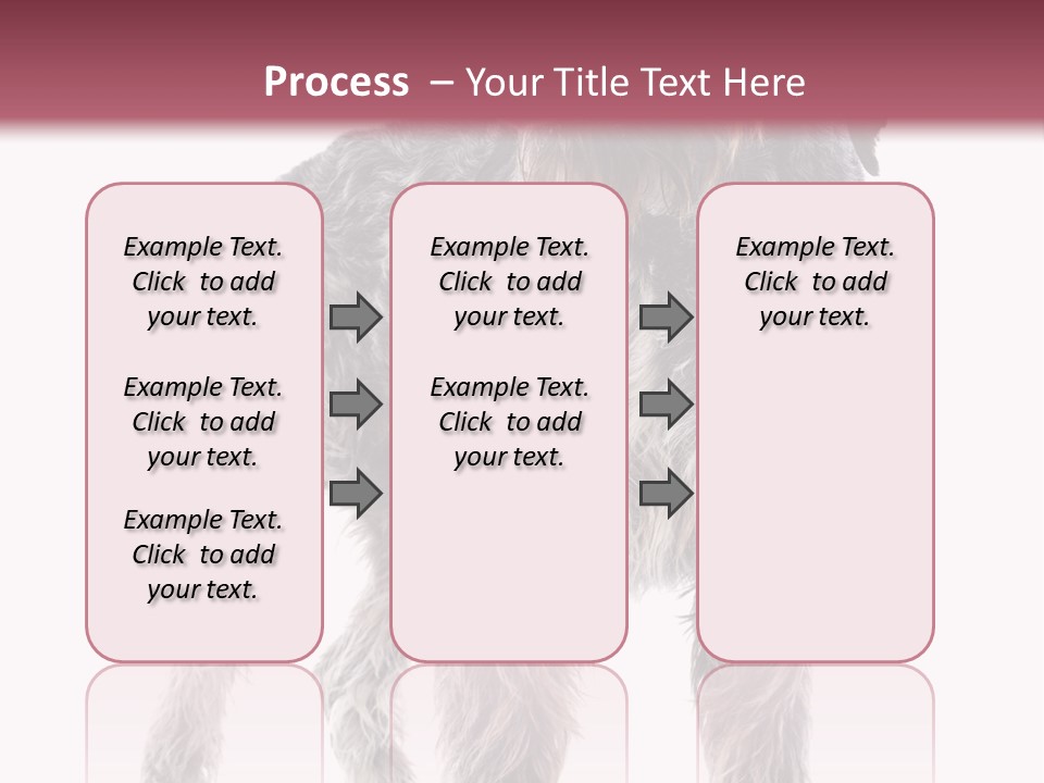 A Dog Standing In Front Of A White Background PowerPoint Template