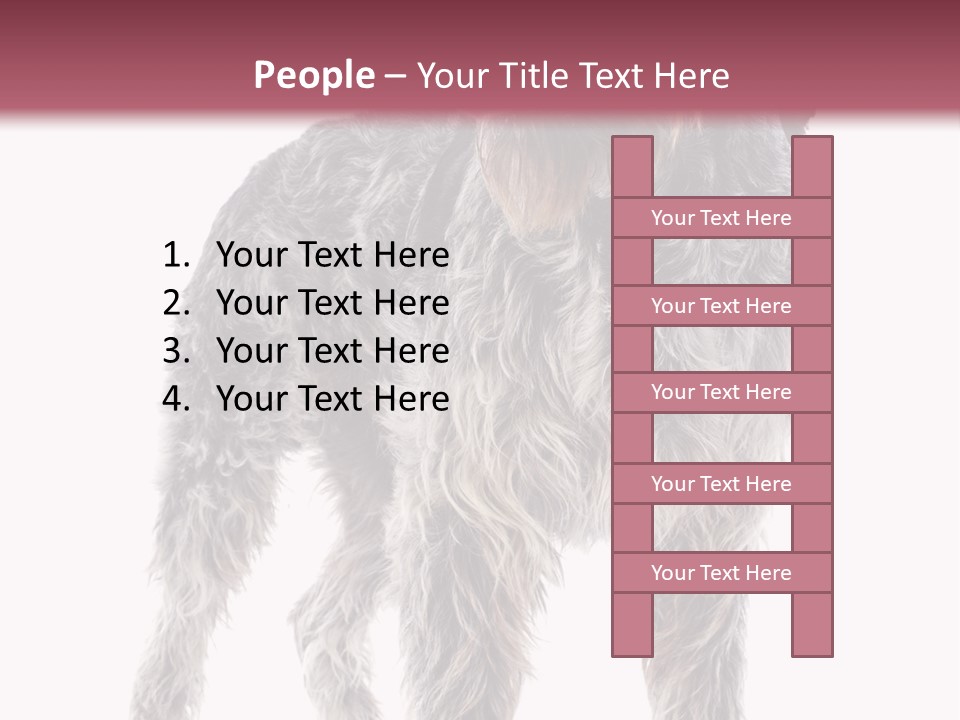 A Dog Standing In Front Of A White Background PowerPoint Template