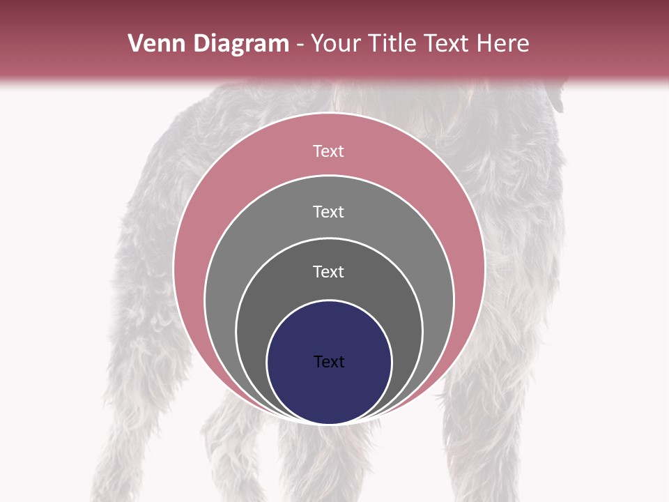 A Dog Standing In Front Of A White Background PowerPoint Template