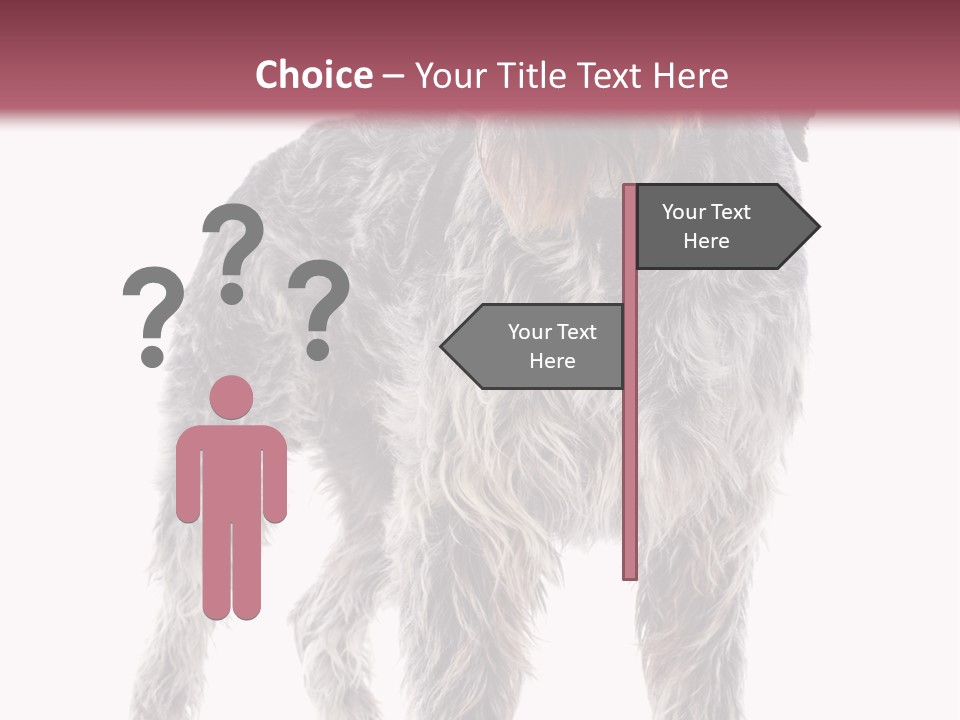 A Dog Standing In Front Of A White Background PowerPoint Template