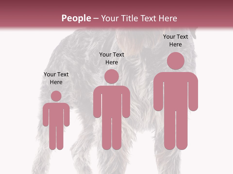 A Dog Standing In Front Of A White Background PowerPoint Template