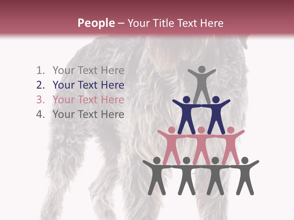 A Dog Standing In Front Of A White Background PowerPoint Template