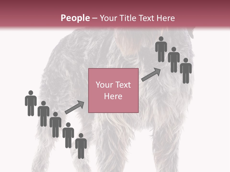A Dog Standing In Front Of A White Background PowerPoint Template