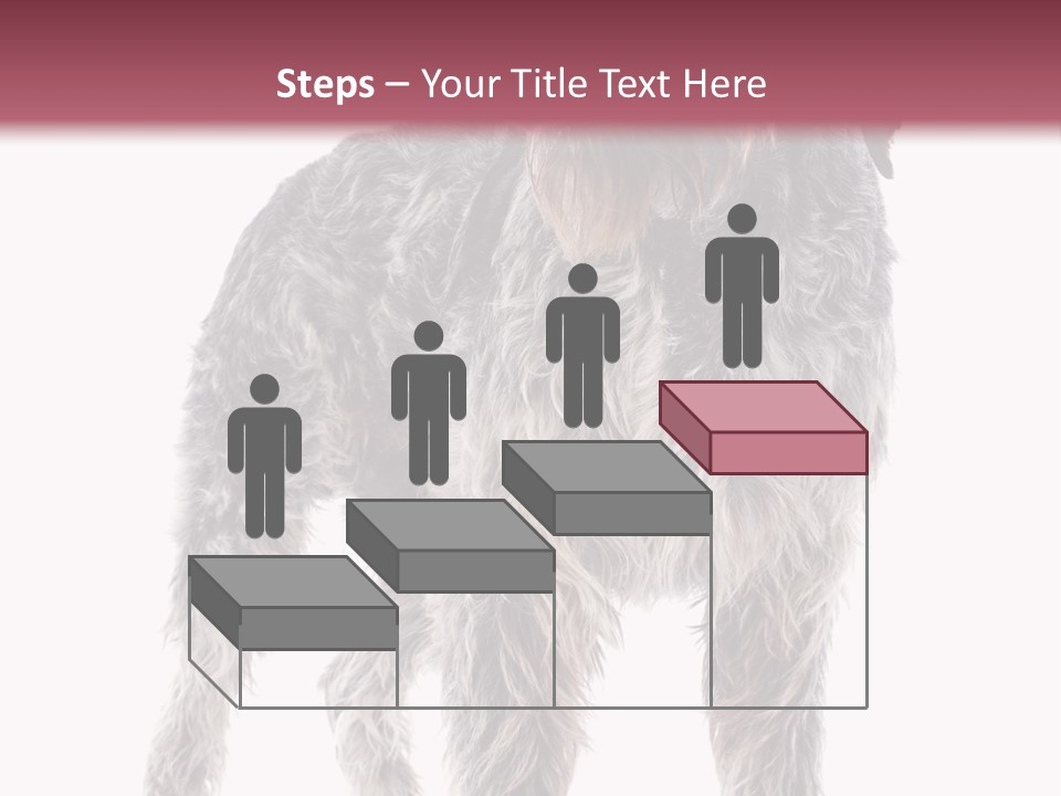 A Dog Standing In Front Of A White Background PowerPoint Template