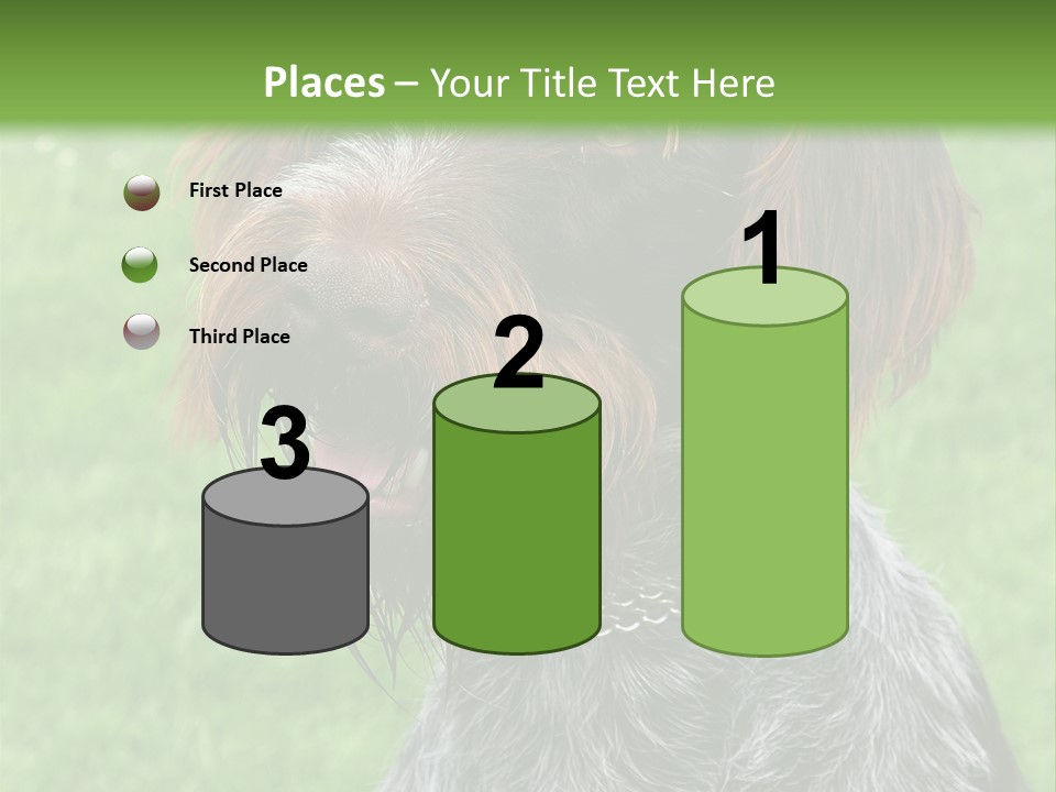 A Brown And Black Dog Sitting On Top Of A Lush Green Field PowerPoint Template
