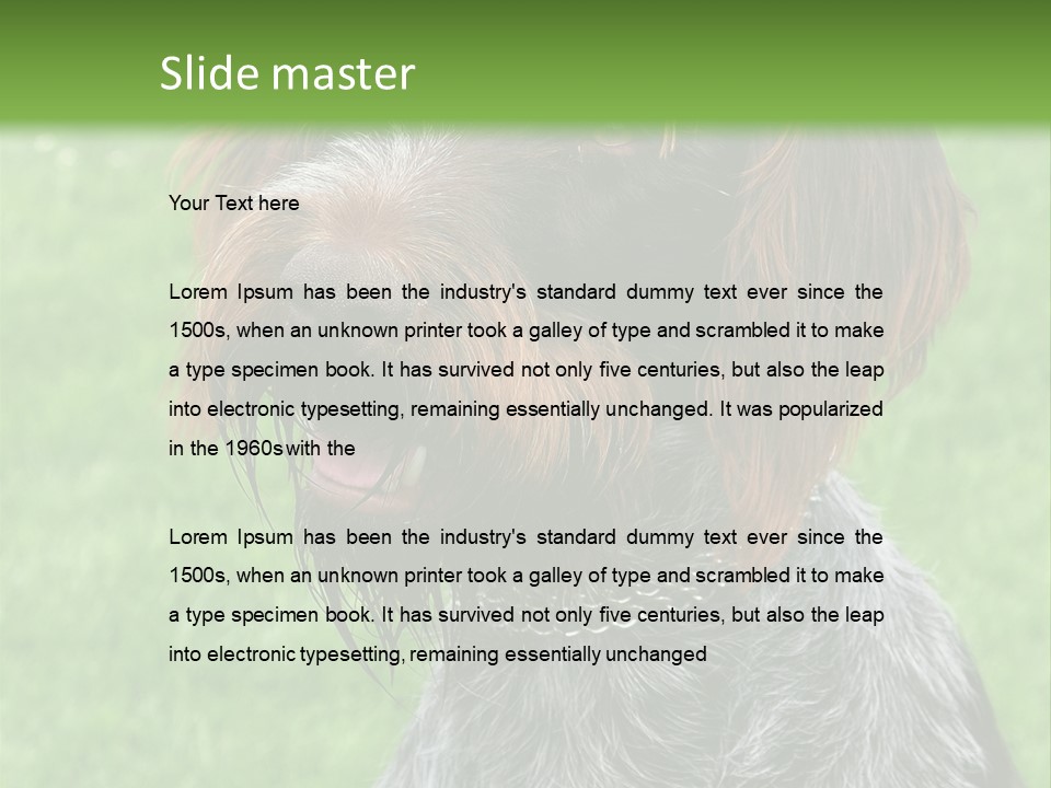 A Brown And Black Dog Sitting On Top Of A Lush Green Field PowerPoint Template