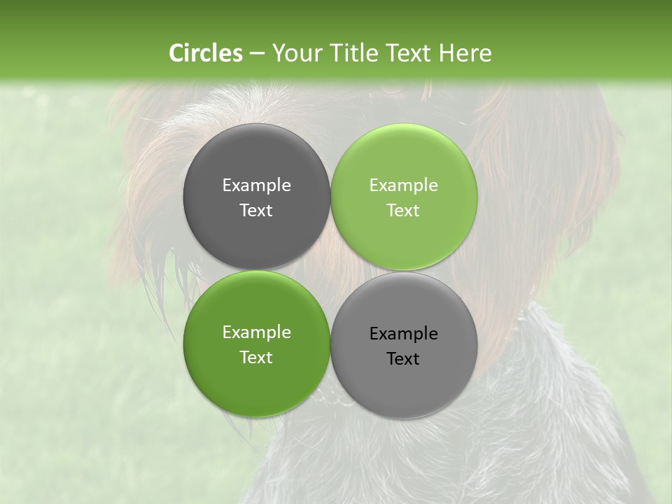 A Brown And Black Dog Sitting On Top Of A Lush Green Field PowerPoint Template