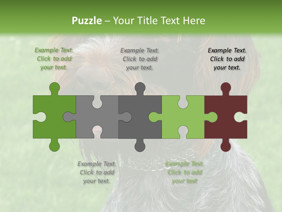 A Brown And Black Dog Sitting On Top Of A Lush Green Field PowerPoint Template