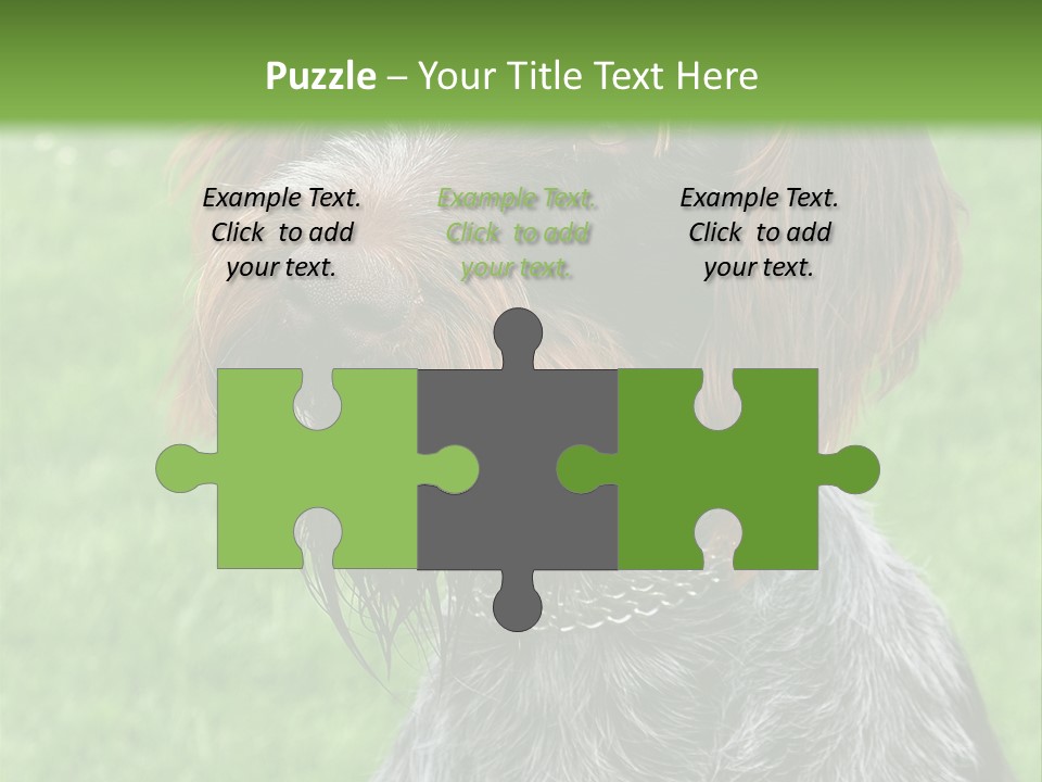 A Brown And Black Dog Sitting On Top Of A Lush Green Field PowerPoint Template