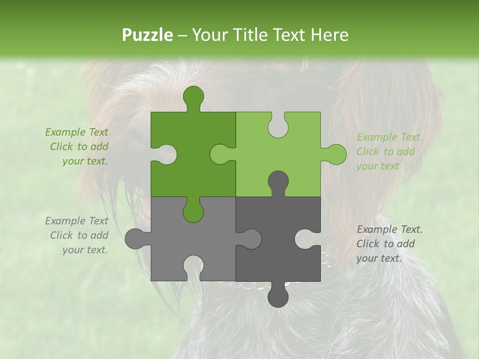 A Brown And Black Dog Sitting On Top Of A Lush Green Field PowerPoint Template