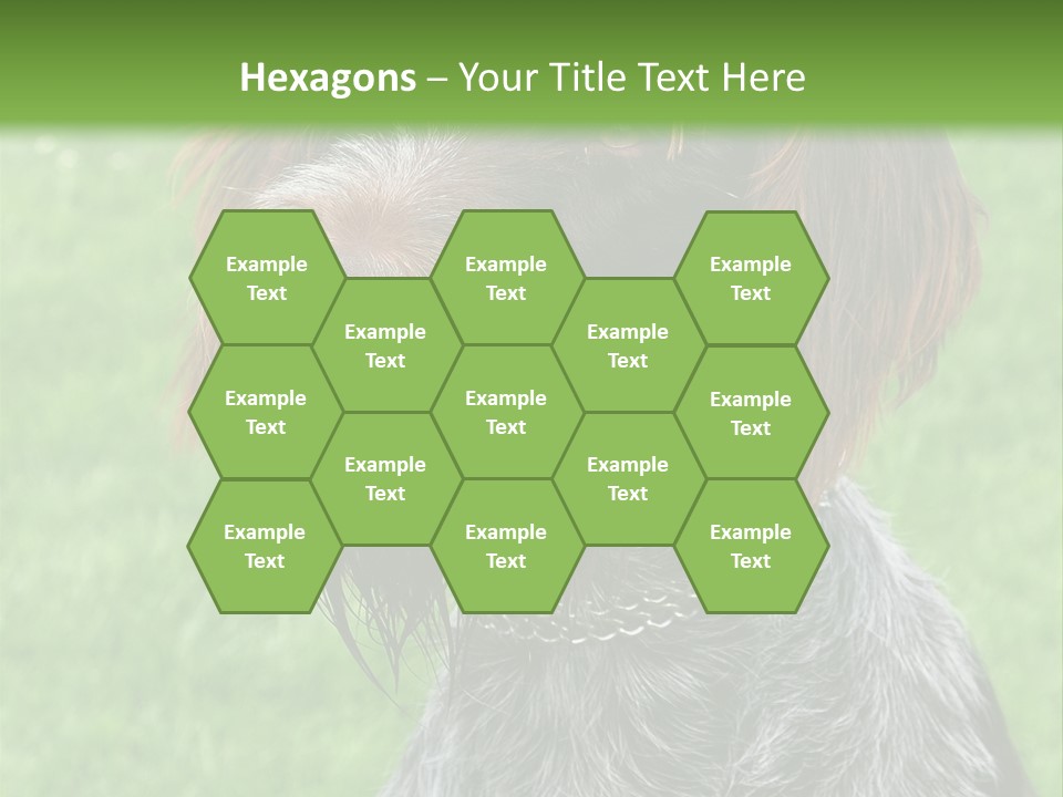 A Brown And Black Dog Sitting On Top Of A Lush Green Field PowerPoint Template
