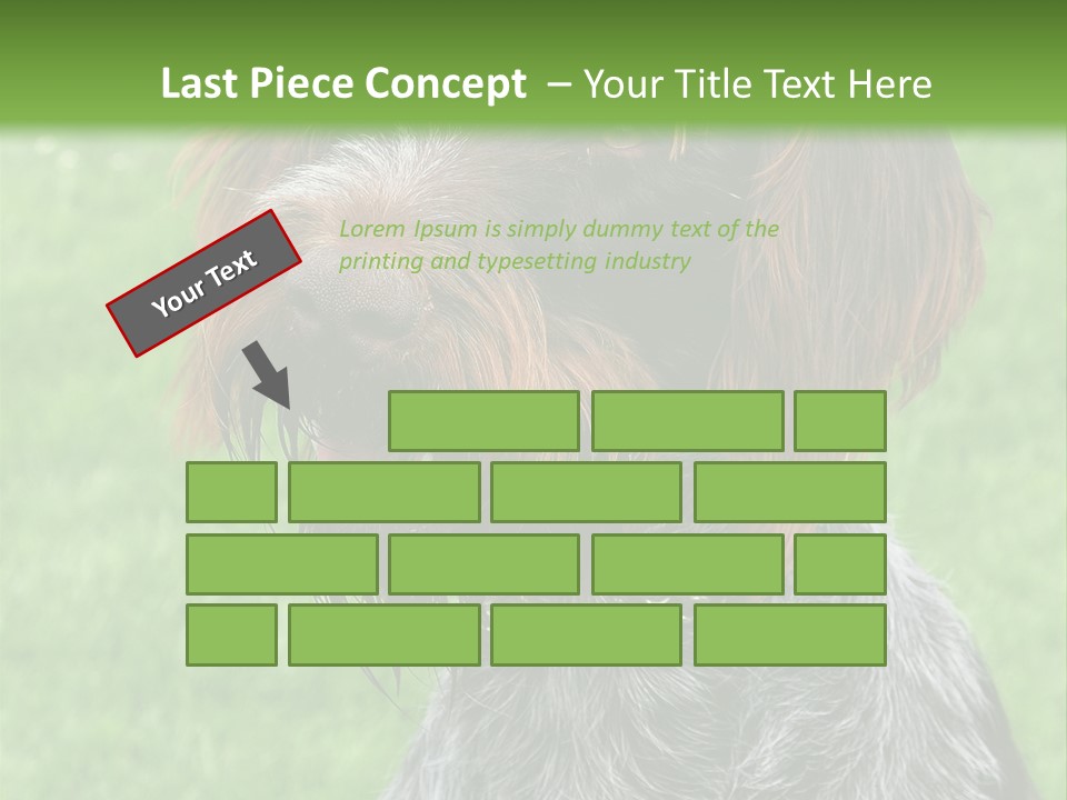 A Brown And Black Dog Sitting On Top Of A Lush Green Field PowerPoint Template