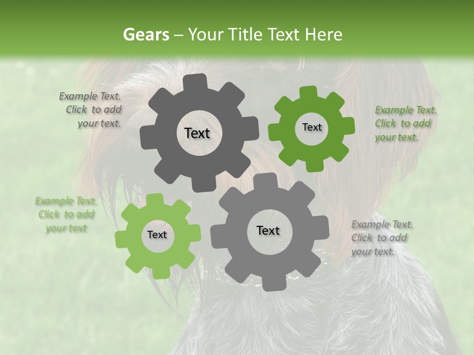 A Brown And Black Dog Sitting On Top Of A Lush Green Field PowerPoint Template