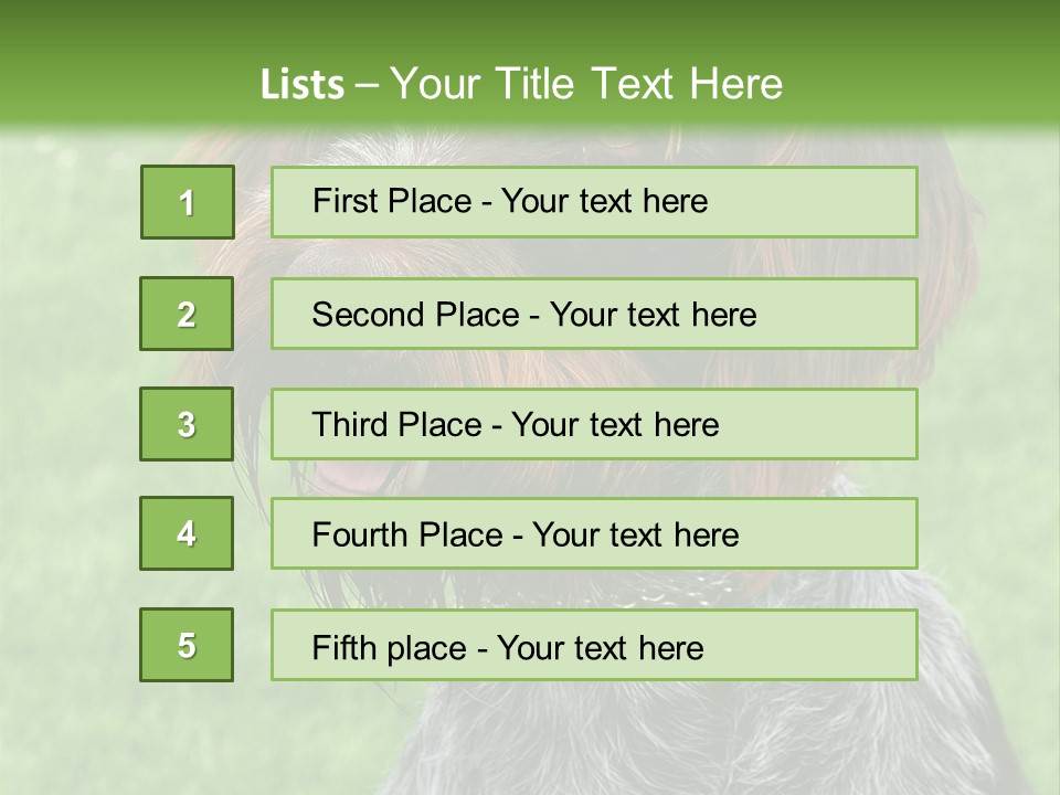 A Brown And Black Dog Sitting On Top Of A Lush Green Field PowerPoint Template