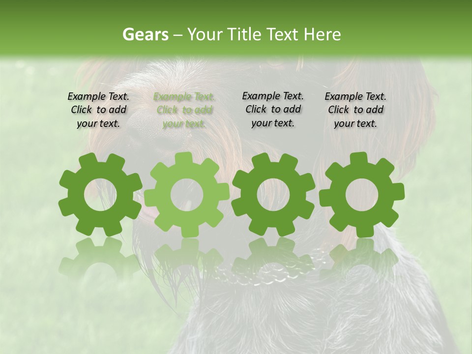 A Brown And Black Dog Sitting On Top Of A Lush Green Field PowerPoint Template