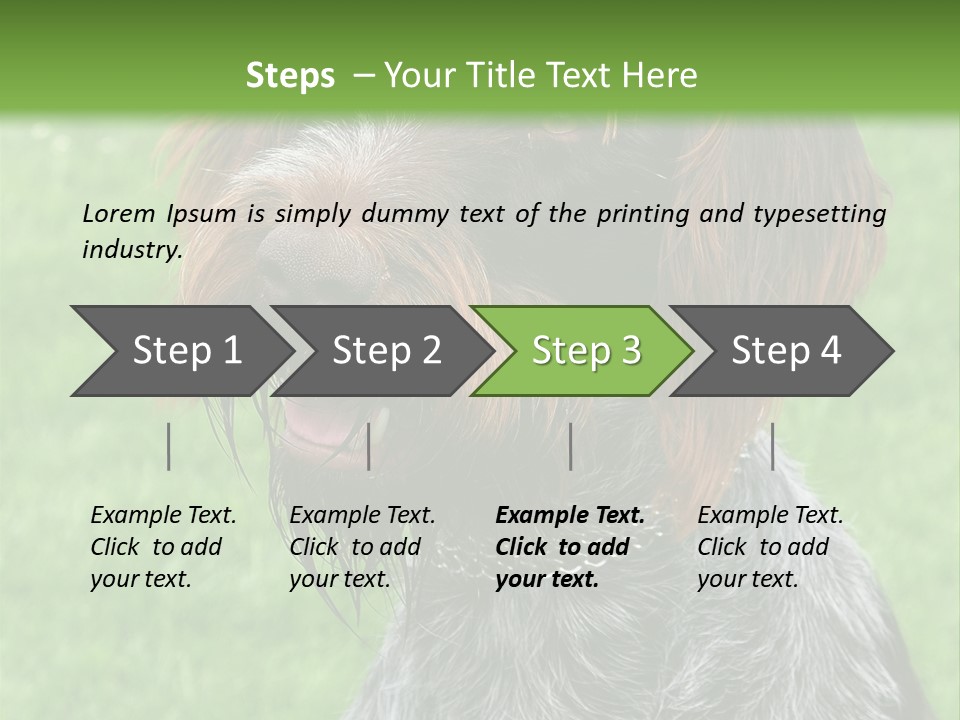 A Brown And Black Dog Sitting On Top Of A Lush Green Field PowerPoint Template
