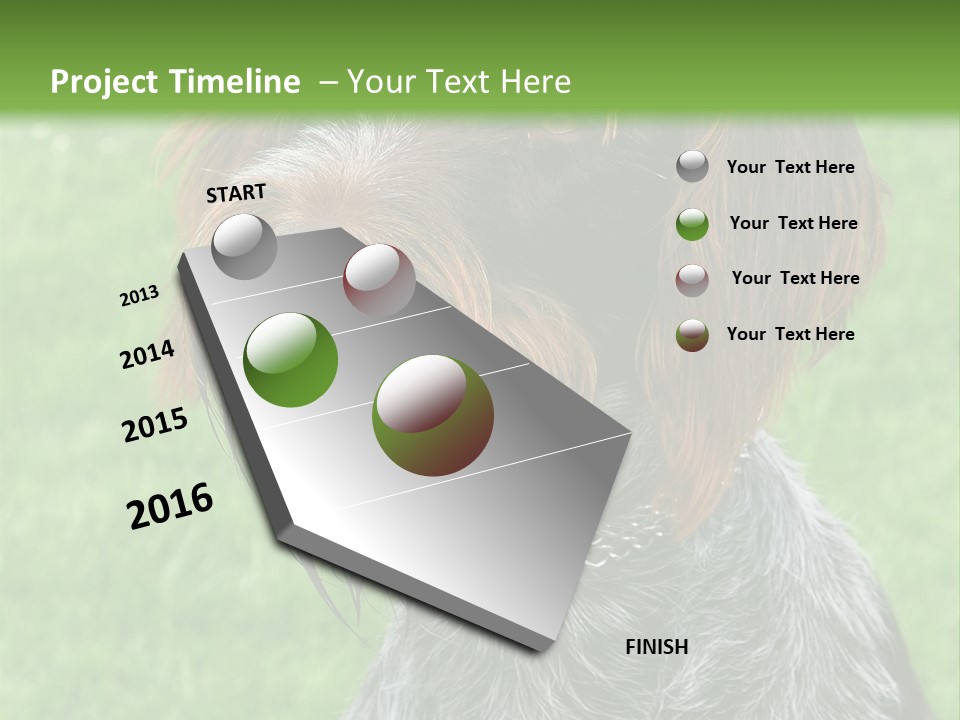 A Brown And Black Dog Sitting On Top Of A Lush Green Field PowerPoint Template