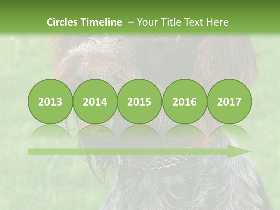 A Brown And Black Dog Sitting On Top Of A Lush Green Field PowerPoint Template