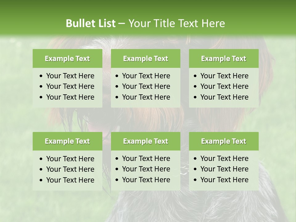 A Brown And Black Dog Sitting On Top Of A Lush Green Field PowerPoint Template