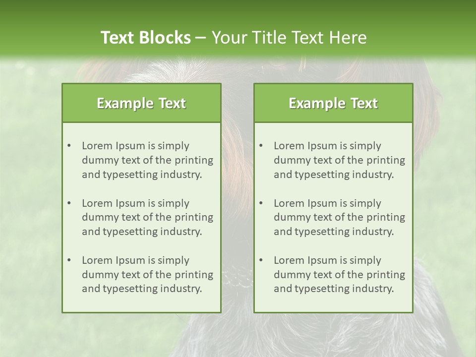 A Brown And Black Dog Sitting On Top Of A Lush Green Field PowerPoint Template