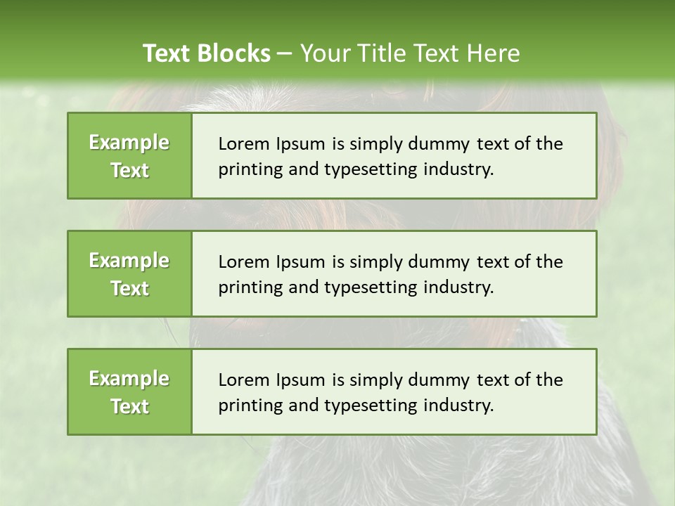 A Brown And Black Dog Sitting On Top Of A Lush Green Field PowerPoint Template
