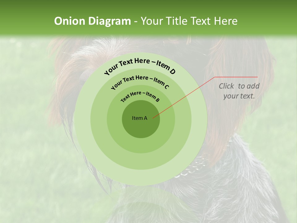 A Brown And Black Dog Sitting On Top Of A Lush Green Field PowerPoint Template