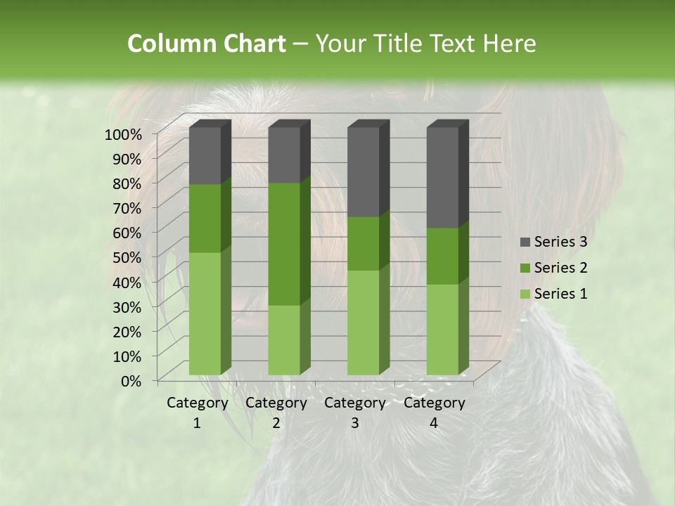 A Brown And Black Dog Sitting On Top Of A Lush Green Field PowerPoint Template