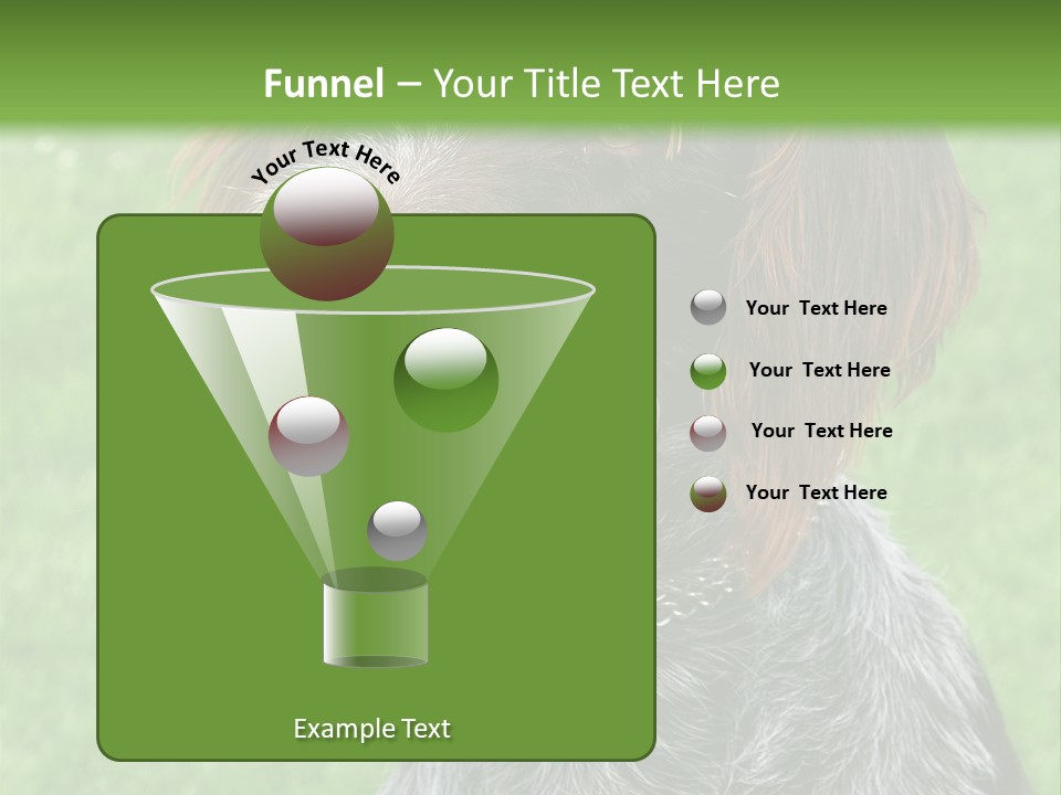 A Brown And Black Dog Sitting On Top Of A Lush Green Field PowerPoint Template