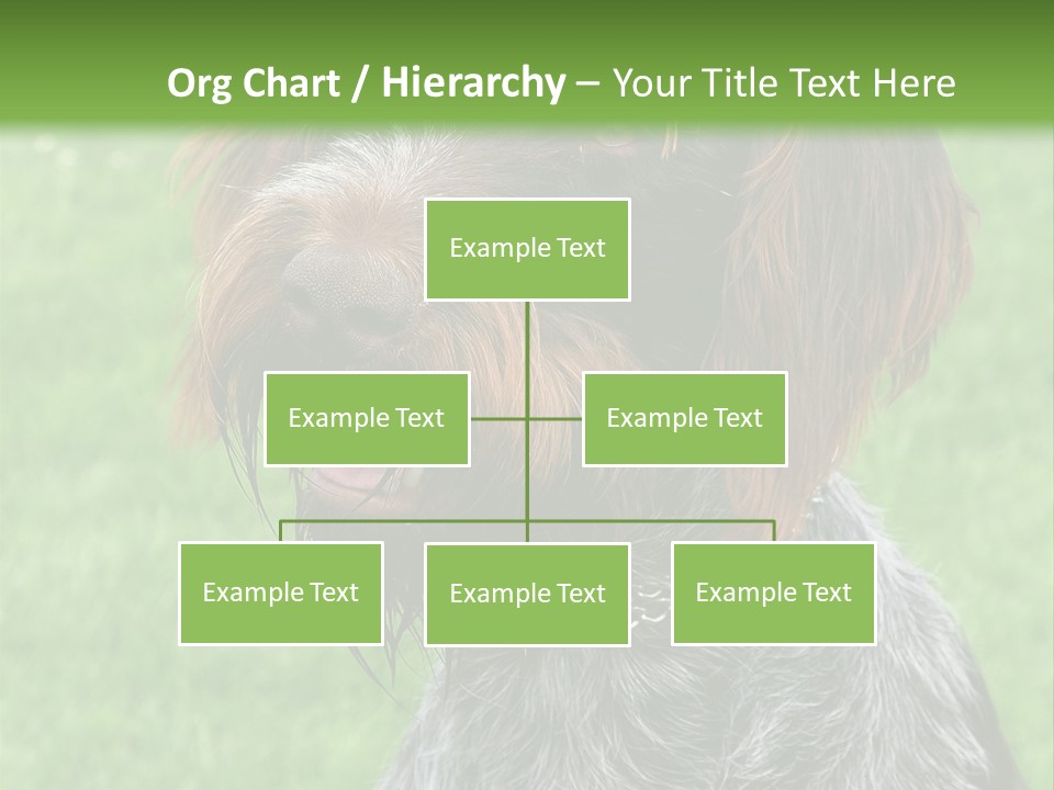 A Brown And Black Dog Sitting On Top Of A Lush Green Field PowerPoint Template