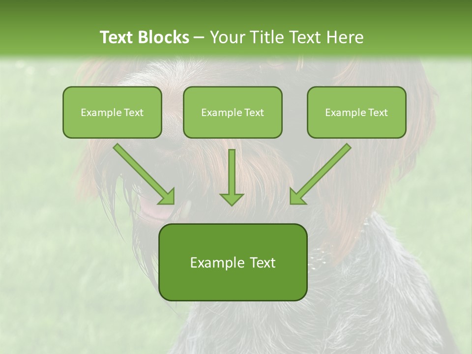 A Brown And Black Dog Sitting On Top Of A Lush Green Field PowerPoint Template