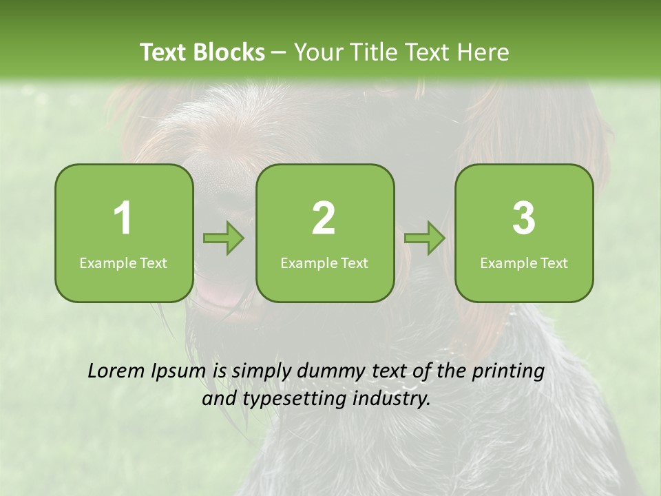 A Brown And Black Dog Sitting On Top Of A Lush Green Field PowerPoint Template