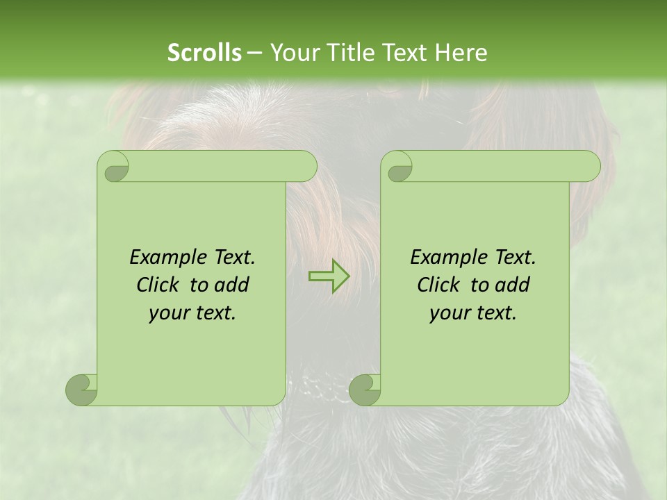 A Brown And Black Dog Sitting On Top Of A Lush Green Field PowerPoint Template