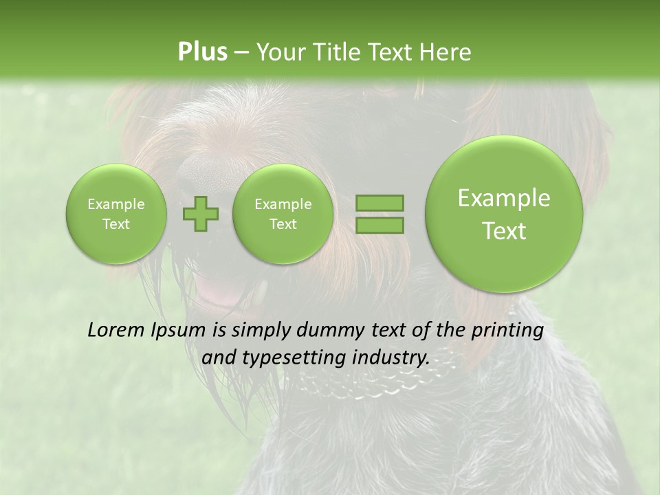 A Brown And Black Dog Sitting On Top Of A Lush Green Field PowerPoint Template