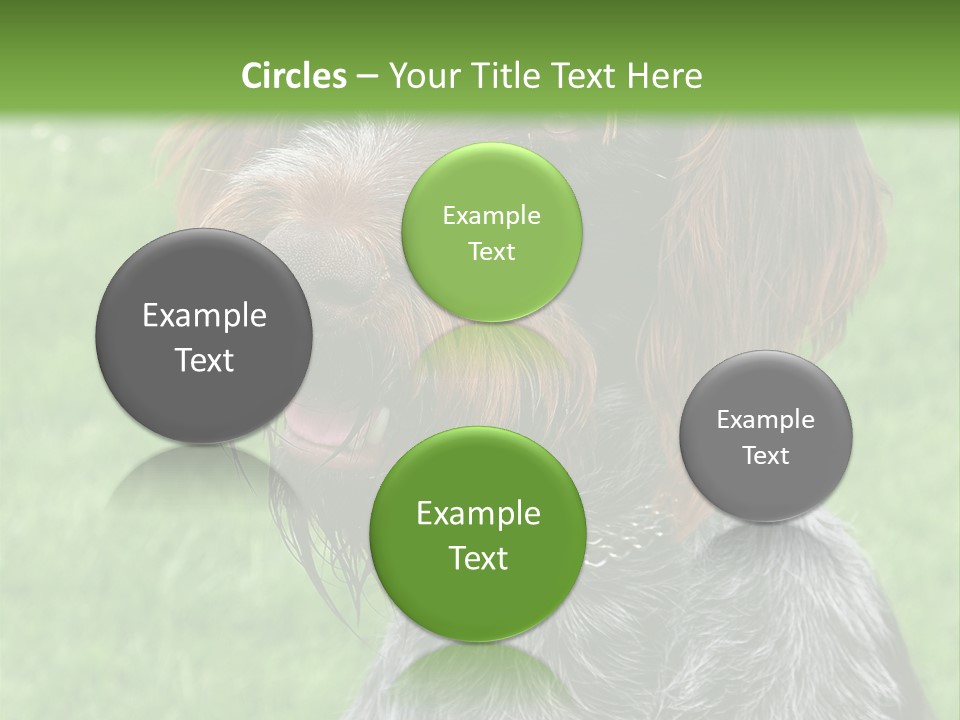 A Brown And Black Dog Sitting On Top Of A Lush Green Field PowerPoint Template
