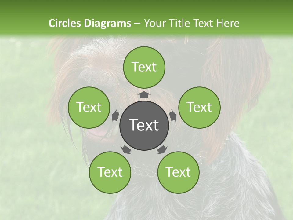 A Brown And Black Dog Sitting On Top Of A Lush Green Field PowerPoint Template